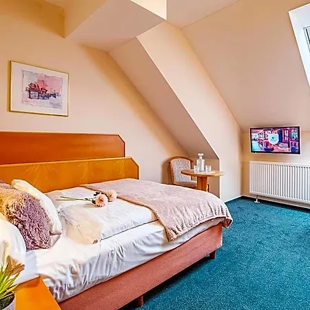 Orlican Hotel Rokytnice v Orlických Horách