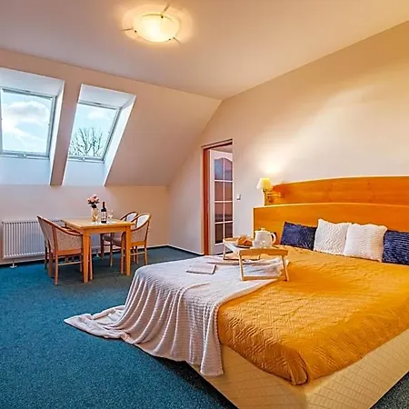 Orlican Hotel Rokytnice v Orlických Horách