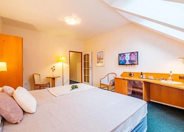 Orlican Hotell Rokytnice v Orlických Horách