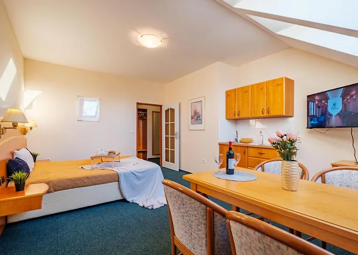Hotell Orlican Rokytnice v Orlických Horách