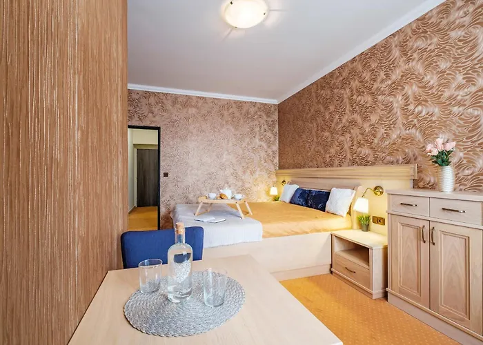 Orlican Hotell Rokytnice v Orlických Horách